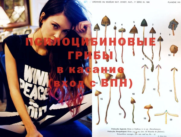 бутират Алексеевка