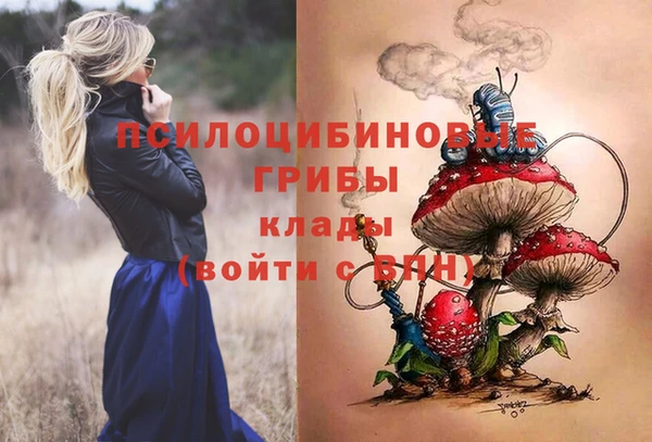бутират Алексеевка