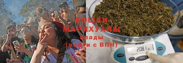 бошки Алексин