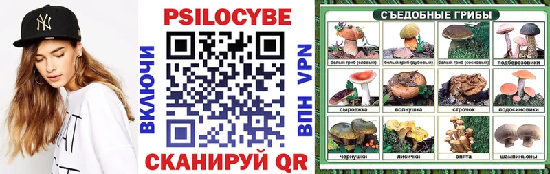 Псилоцибиновые грибы Cubensis  Оленегорск 
